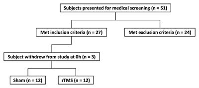 Short-Term Immobilization Promotes a Rapid Loss of Motor Evoked Potentials and Strength That Is Not Rescued by rTMS Treatment